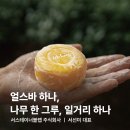 주식회사 바다와나무