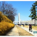 개나리어린이집 이미지