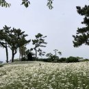 서부농업기술센터 이미지