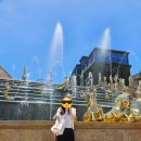 금동카프라자 이미지