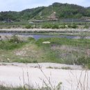 피서농장 이미지