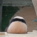 루각
