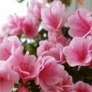 갈산고등학교 이미지