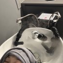 고산온 | 모발의 정확한 진단과 클리닉을 통해 건강한 머릿결 완성! :: 헤어살롱더무드 고산점