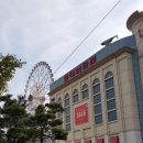 이리스쥬스 네이버블로그