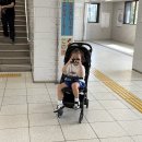 상어 | 일본 오사카 가이유칸 수족관, 아이와 고래상어 본 후기 &amp; 팁