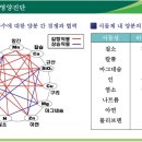 비료의 길항작용과 상조작용 이미지