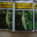 여주-0676 이미지