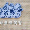 천상의 나무 | 포천 사르르 목장에서 천상의 맛 &#34;카이막&#34; 먹고 온 후기(ft. 포천 아이스크림&amp;카이막 카페)