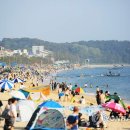 대천해수욕장 이미지