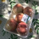 교촌치킨(동산점) | 나의 여름 일기 •• 🌳