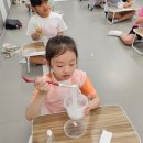 용인대 백호태권도 | 용인대백호 슬라임 카페