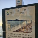 태안군_T14 해변길 7코스(바람길)_AP1 | 충남 태안 바다 여행 가볼만한곳 운여해변 운여해수욕장 일몰 명소