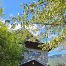 신명초등학교 | 양산 웅상 예쁜 카페 홍차왕자♡