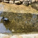 계곡식당 이미지