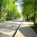 고양고등학교 이미지