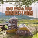 공주 촌캉스 당일여행, 하나 (부제 : 밤줍기 체험 &amp; 공주 대백제전 폐막｜금강힐링여행)