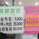 듀발정리 이미지