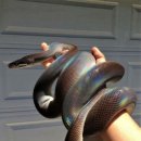 에코동물병원 이미지