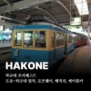 하나로카 | 하코네 프리패스, 로망스카 로프웨이 해적선 사용 후기