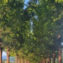 경포생태지 이미지