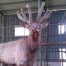 성은농장 이미지