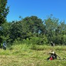 공설공원묘지 이미지