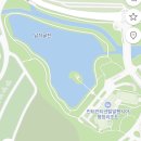 솔섬(속도) 네이버블로그