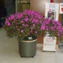 조이플라자 이미지