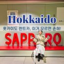 세계로렌트카(안산영업소) | 홋카이도 렌트카, 복잡한 예약 없이 저렴하게 이용하는 방법 후라노 비에이 명소 맛집 추천