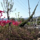 행복펜션민박 이미지