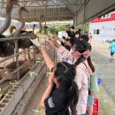 용두 농장 이미지