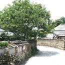 요천다슬기마을 이미지