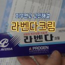라벤다 | 라벤다크림 사용 후기: 손물집, 질염부터 여드름까지 피부 연고 고민 해결