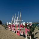 중앙로5길 | [강원도/양양] 내 돈 내산) 속초, 양양 8월 1박2일 여행 솔직 후기!