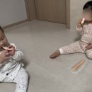최군족발 이미지