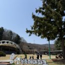 용인농촌테마파크 야외화장실 | 꽃놀이 벚꽃명소 꽃구경 아이들가 야외놀이 바깥놀이 용이 농촌테마파크 체험거리 외부음식가능 주차가능