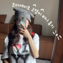 비니캣 | 코이세이오 와이드 캣 비니 그레이 후기