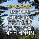 보름이네분식 | [제주도] 제주 보름살기 여섯번째 날 Day 6 - 한라수목원 신해바라기분식 동문올레찐빵 중앙로소품샵...