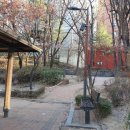 소나무공원 이미지