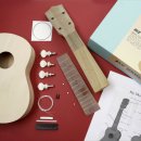 우쿨렐레 (B) 이미지