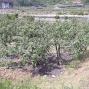 강가농장 이미지