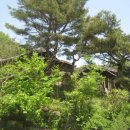 지례예술촌길(임동면) 이미지