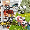 냉장고를 보면 암을 알고 신발을 보면 치매를 안다 이미지