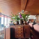 북한강문화나들이 | 남양주대형카페 추천! 북한강카페 왈츠와닥터만 솔직후기