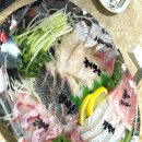 행복한횟집펜션 | 광주 회포장 맛집 화정동 횟집 킹피쉬 포장 스페셜모듬회 후기 메뉴 주차