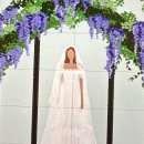 제주 달밤 이미지