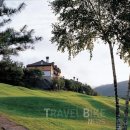 용평리조트 골프클럽 이미지