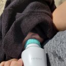 2019-주108 이미지