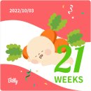 GR(고령군)-[중앙로]-하-5 | 임신 중기 21주~ 24주 : 허유재병원 2차 기형아검사, 정밀초음파, 독감